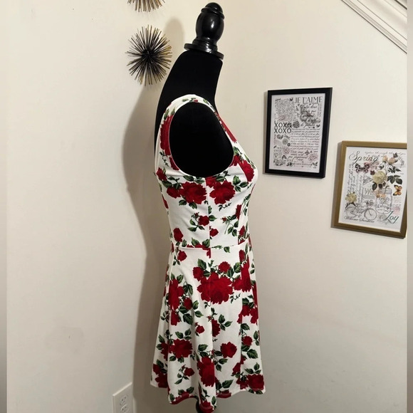 H & M ROSE DRESS SIZE 8 - Picture 4 of 16